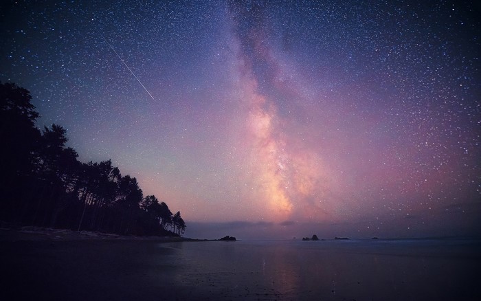 Milky Way over a beach with trees and a shooting star