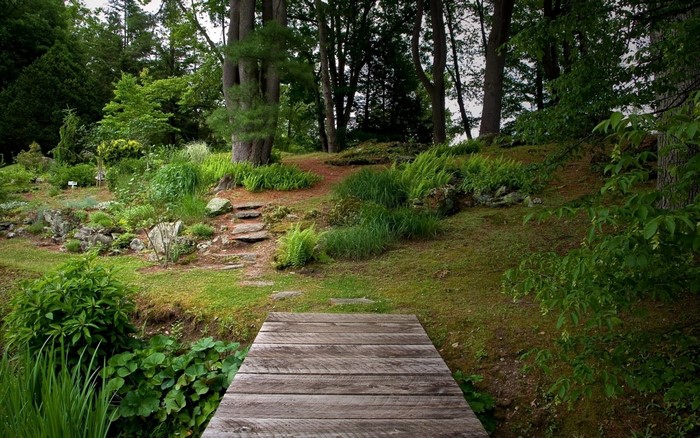 Wooden walkway leading into a lush forest garden