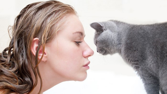 Girl with wet hair and a British Shorthair cat