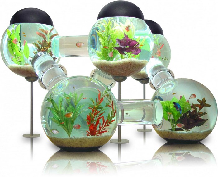 Modular spherical aquariums with connecting tubes