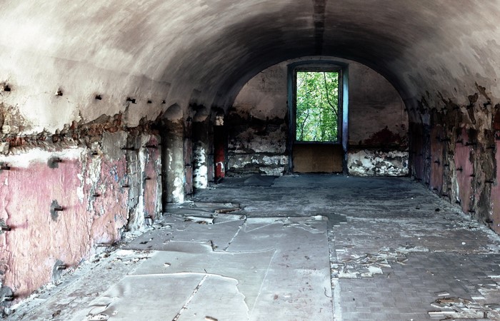 Abandoned arched room with a window overlooking trees
