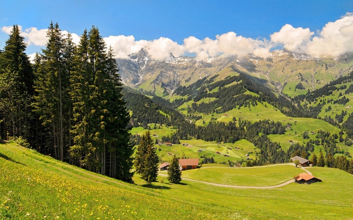 Green mountain valley with scattered houses and trees