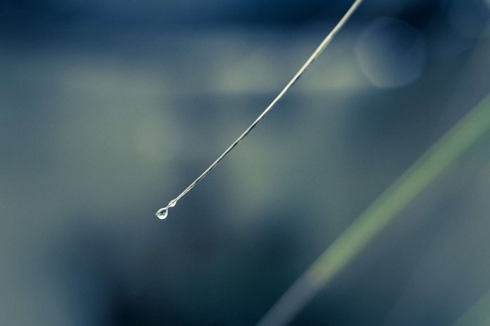Macro shot of a water drop on a blade of grass
