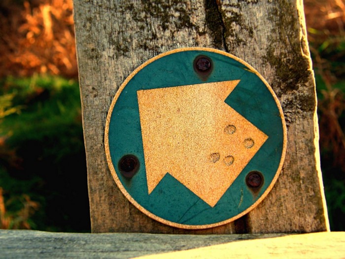 Circular trail marker with right arrow on wooden post