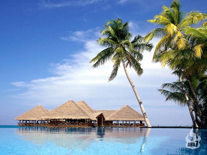 Tropical resort with thatched roofs and infinity pool