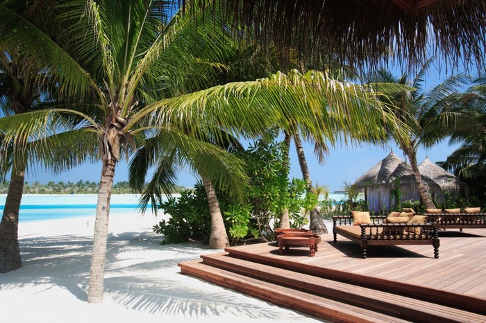 Tropical resort with palm trees and beach huts