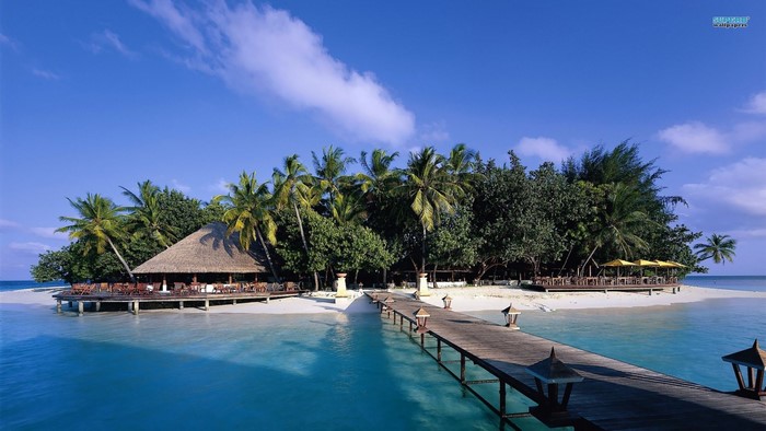 Tropical island resort with thatched-roof building and pier