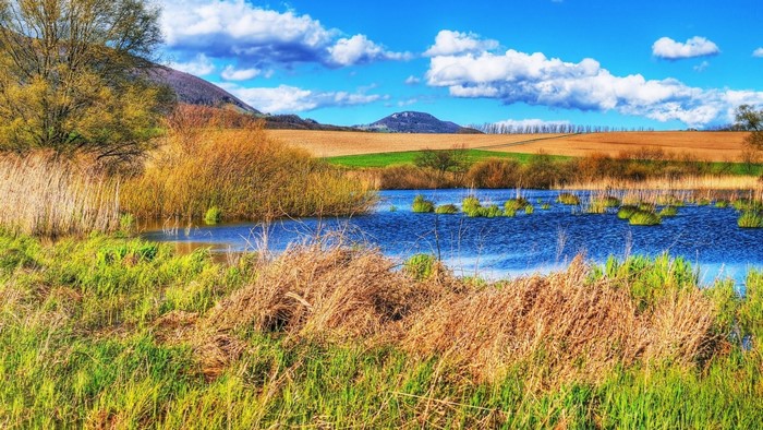 Wetland landscape with blue water and green fields