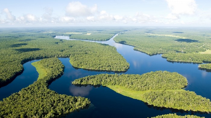 Aerial view of a winding river through a dense green forest