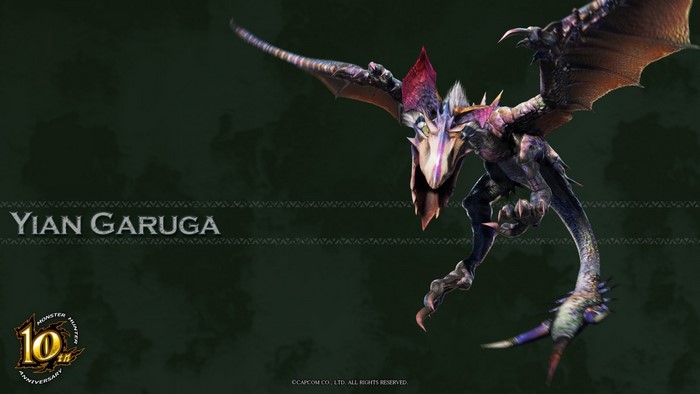 Yian Garuga from Monster Hunter