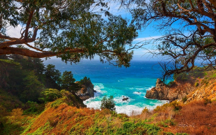 Ocean view with trees and cliffs