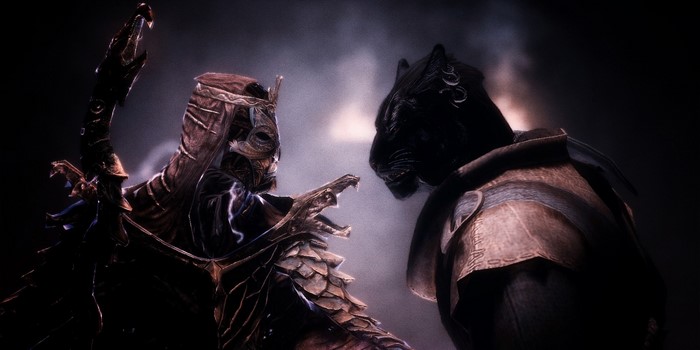 Alduin and a Khajiit from The Elder Scrolls V Skyrim