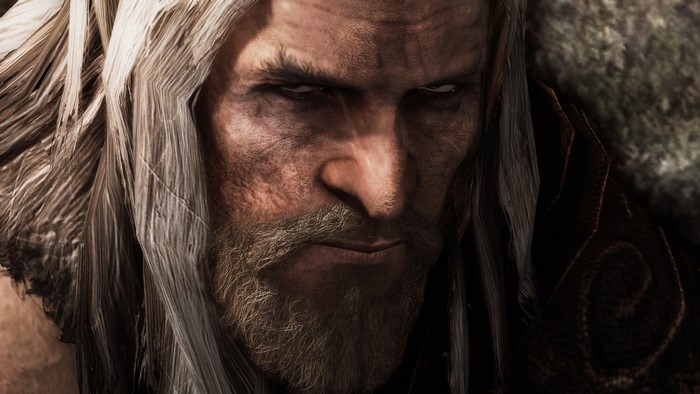 Close up portrait of an old man from Skyrim