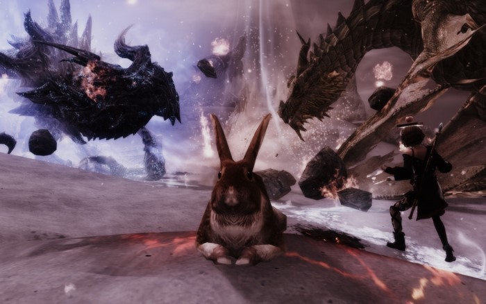 Dragon fight with rabbit and character in Skyrim