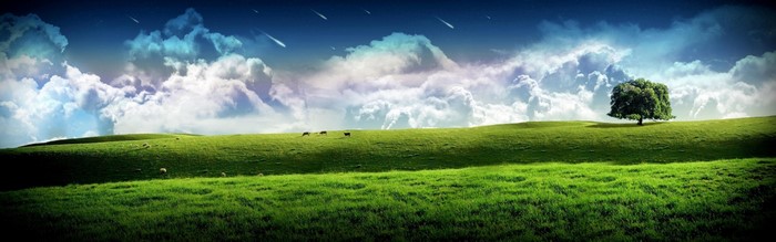 Green rolling hills with a lone tree and stormy clouds