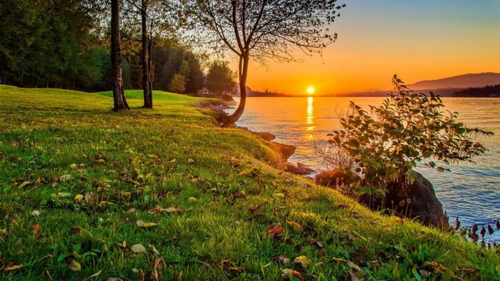 Sunset over a calm lake with trees and a grassy shore