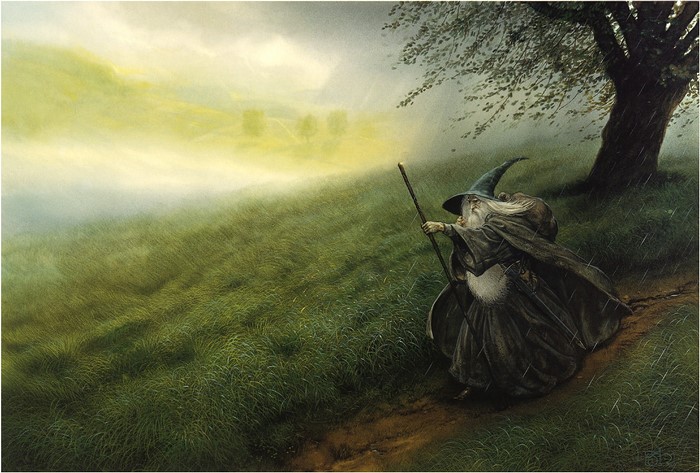 Gandalf from The Lord of the Rings walking in the rain