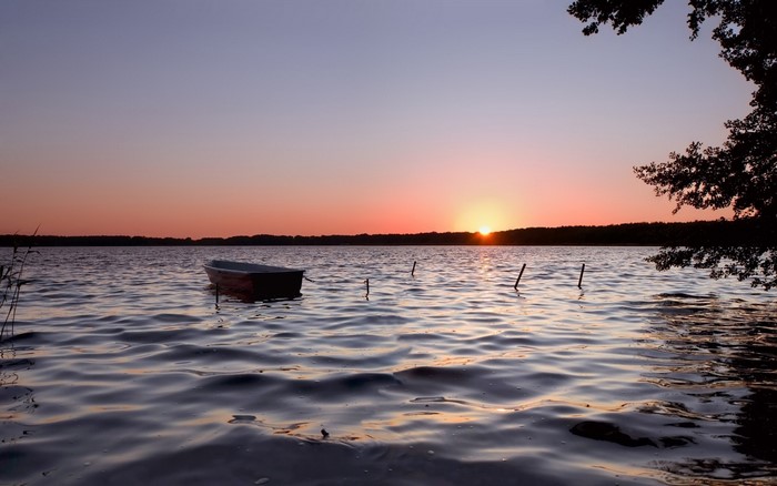 Boat on a lake at sunset with tree silhouette