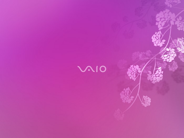 VAIO logo on a pink and purple gradient background with floral elements