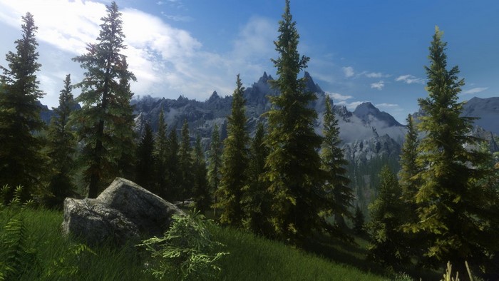 The Elder Scrolls V Skyrim landscape with mountains and forest