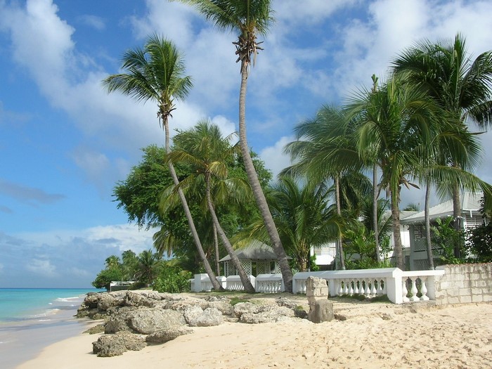 Tropical beach with palm trees and white railing