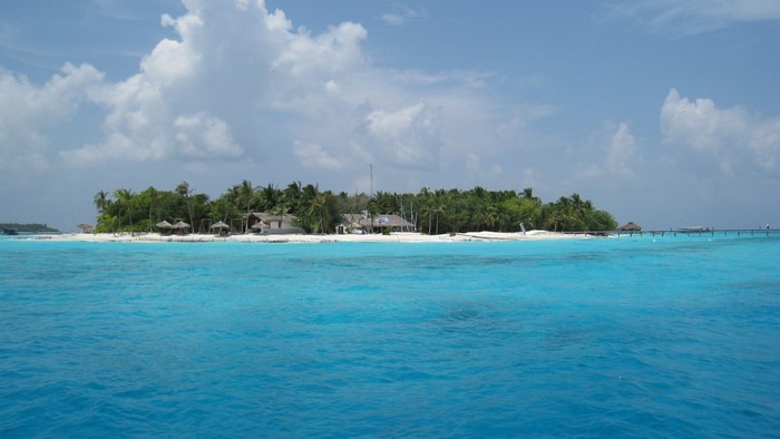 Island resort with turquoise water and palm trees