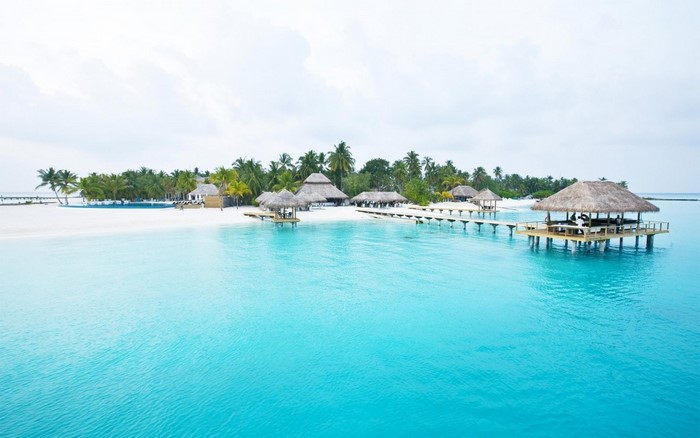 Tropical island resort with overwater bungalows and palm trees