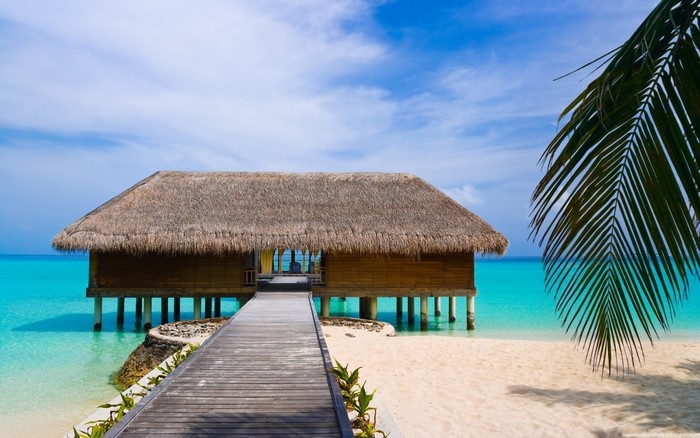 Overwater bungalow with thatched roof on stilts in turquoise water