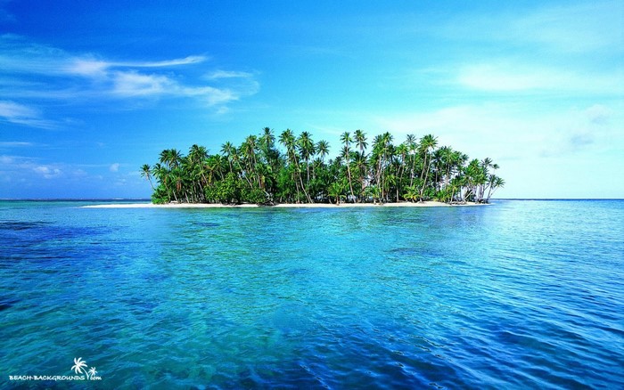 Tropical island with palm trees in the ocean