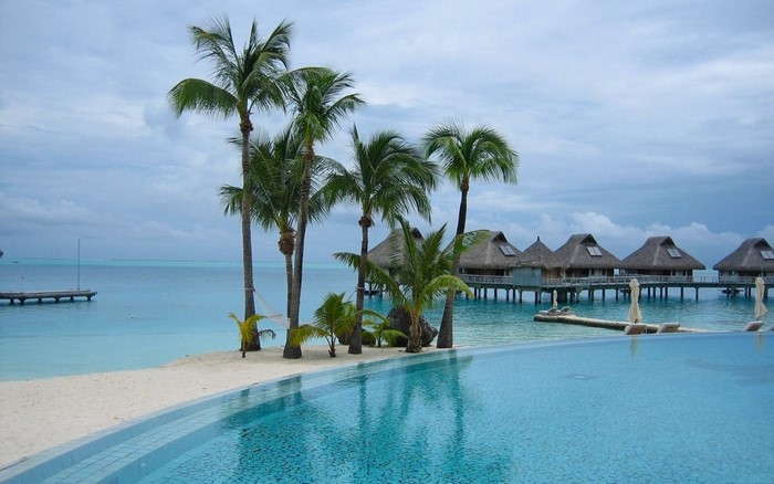 Infinity pool overlooking tropical overwater bungalows and palm trees
