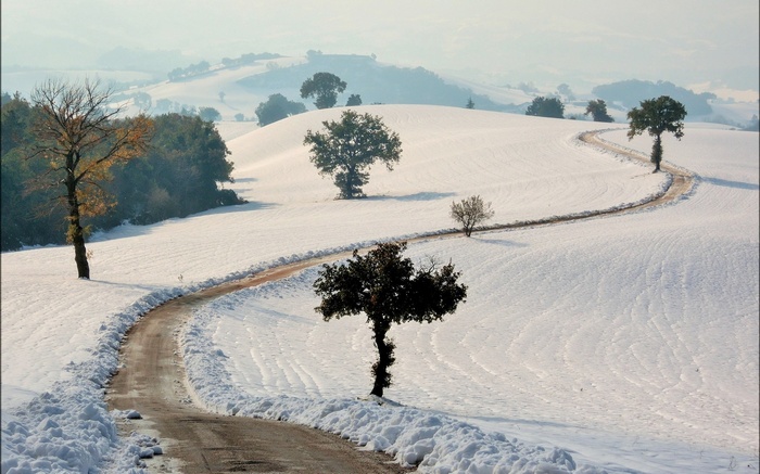 Winding road through snow-covered hills with trees