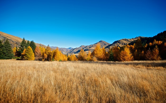 Autumn landscape with golden trees and mountains