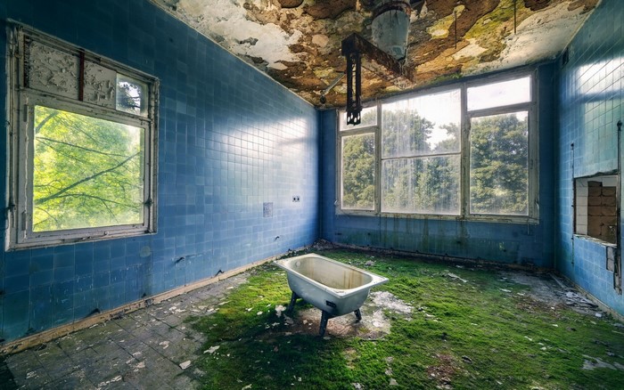 Abandoned bathroom with bathtub and overgrown floor