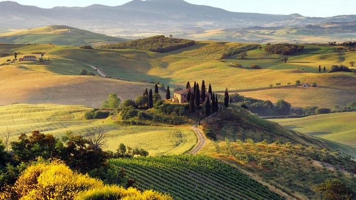 Sunlit Rolling Hills and Verdant Fields