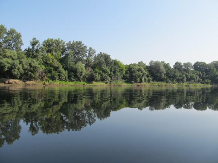 Riverbank with trees and reflection in the water