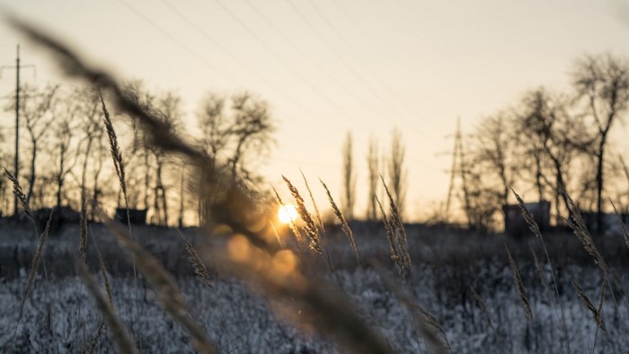 Winter sunset over a snowy field with dry grass