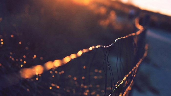 Close up of a fence with bokeh lights at sunset