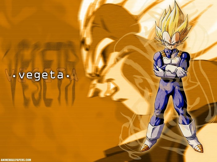 Vegeta from Dragon Ball Z