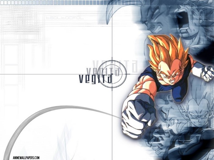 Vegeta from Dragon Ball Z
