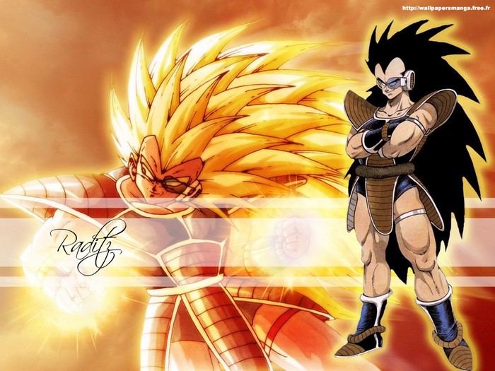 Raditz from Dragon Ball Z