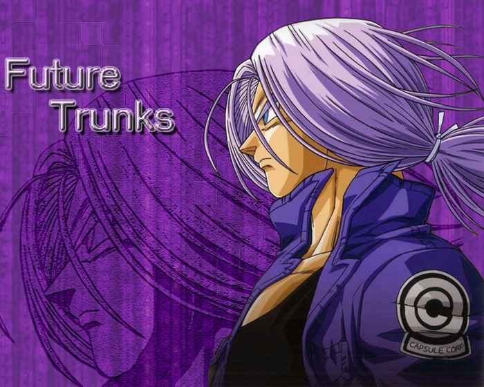 Future Trunks from Dragon Ball Z