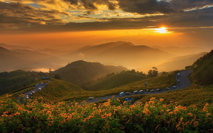 Mountain road with flowers and sunset