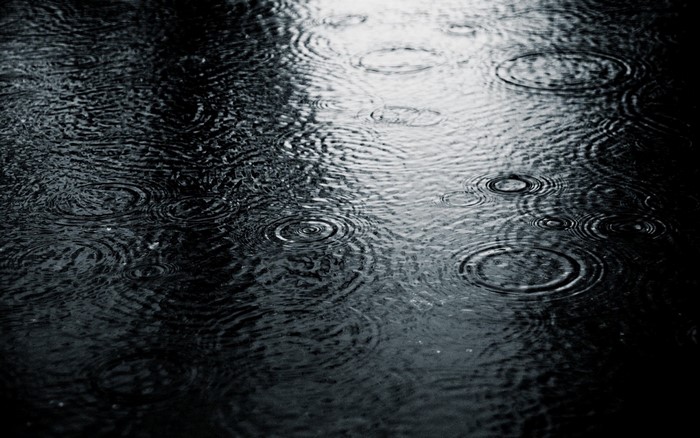 Raindrops creating ripples on a dark surface