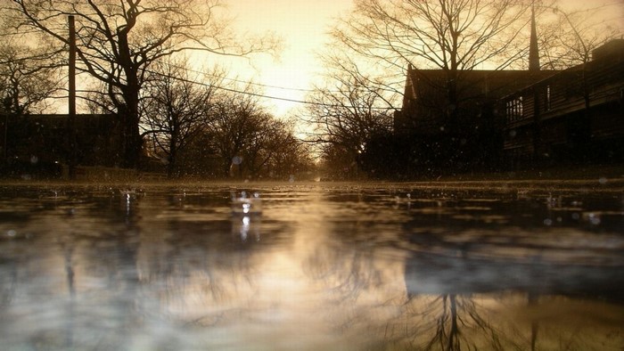 Rainy street with reflections and bare trees