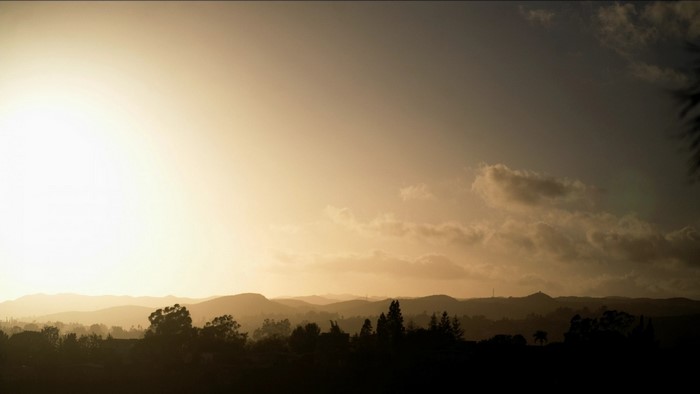 Sunset over rolling hills with silhouetted trees