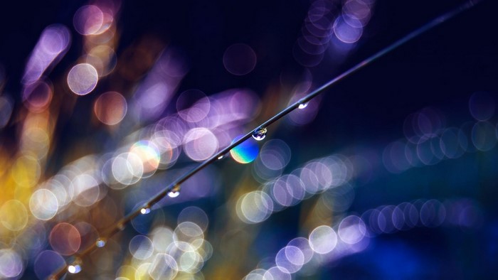 Water drops on a blade with bokeh lights