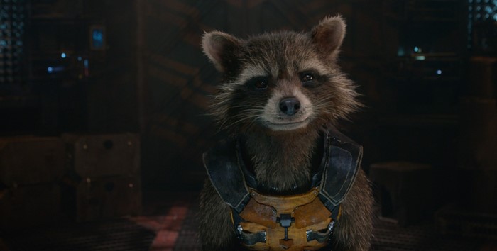 Rocket Raccoon from Guardians of the Galaxy