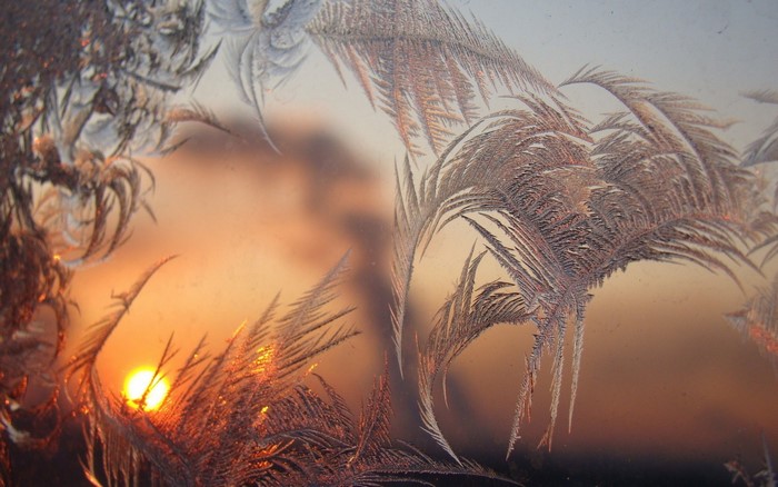 Frost patterns on a window at sunset
