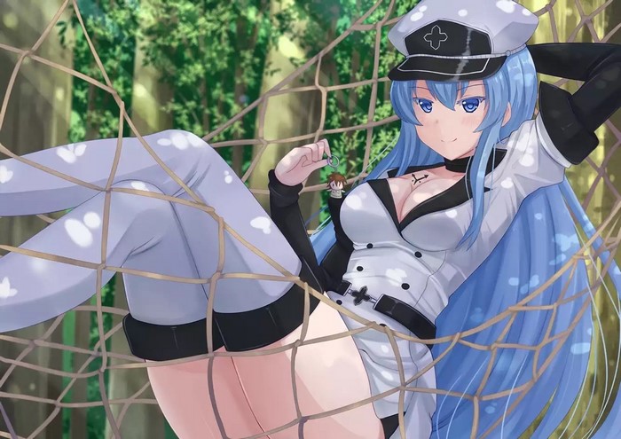 Esdeath from Akame ga Kill in a Net