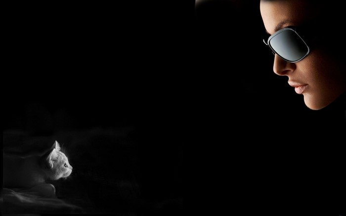 Woman in sunglasses and a white cat in darkness
